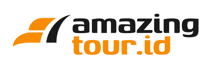 Logo Amazing Tour